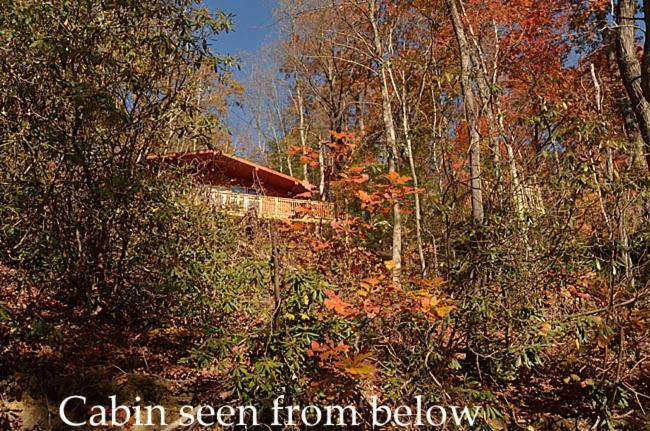 Vila #820 Honeymoon Hideaway Gatlinburg Exteriér fotografie